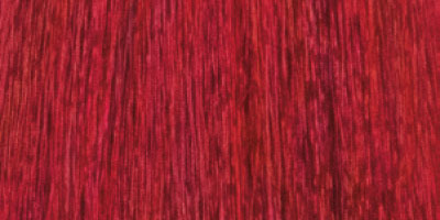 TINTE_KINESSENCES_6.66