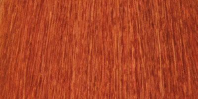 TINTE_KINESSENCES_8.44